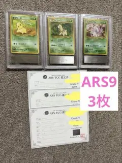 Pokémon Cardポケモンカードネオ プレミアムファイル2 楽天市場】ポケモンカードネオ プレミアムファイル2 カード9枚