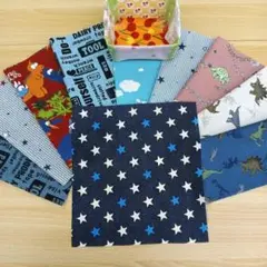 ★A562★ カットクロス/プリント生地/国産/25cm×25cm/10点