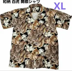 Item thumbnail for item 1b439342-4c7c-4796-bcd0-be0d91b0892a