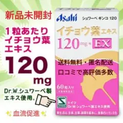 ★超レア品・記憶力UPに★ アサヒ シュワーベギンコ 120mg EX 60粒