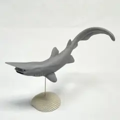 貴重 ARTPLA 海洋堂 アクアランド ナポレオンフィッシュ アクアテイルズ 海の生物シリーズ Vol.1 メガネモチノウオ