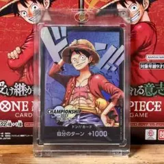 ドン！！カード　チャンピオンシップ2023　鑑賞展示用