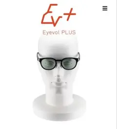 Eyevol PLUS FELIX (49) BK-GRY 別売ケース付