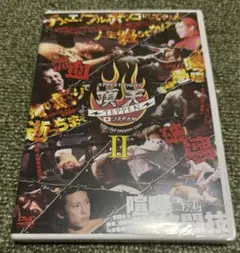 DVD STREET FIGHT 頂点ⅡTEPPEN JAPAN（未開封）