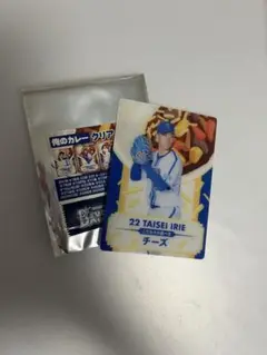 横浜DeNAベイスターズ　全力リサーチ！俺のカレー　カード　入江大生選手