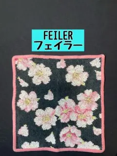 Item thumbnail for item 31f112de-3e0d-4db4-9c5e-a168ab7ccde4