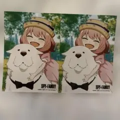SPY×FAMILY 生ブロマイド アーニャ＆ボンド