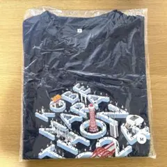 神戸マラソン 2024 参加者限定　Tシャツ　Mサイズ