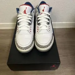 Air Jordan3 ナイキ エア ジョーダン3 トゥルーブルー　2016
