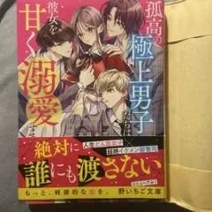 孤高の極上男子たちは彼女を甘く溺愛する