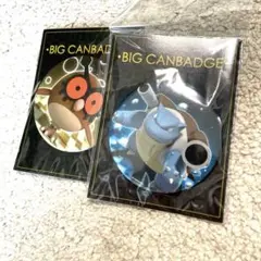ポケットモンスター 缶バッジ カメックス ホーホー BIG CANBADGE