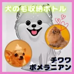Item thumbnail for item 02d21e45-fd4a-46b1-8bb6-075b0855dd8b