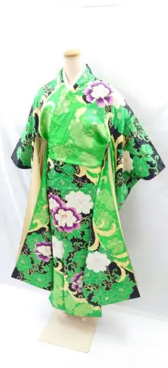 FN9813i 早い者勝ち!着物 豪華 振袖 正絹 黒×黄緑 160〜170cm