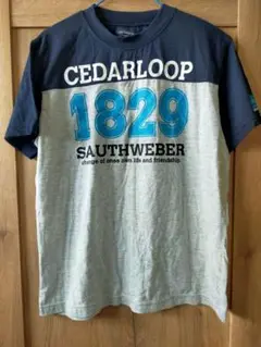 Cedarloop 1829 Tシャツ　160cm　子ども服　小学生