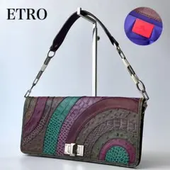 美品✨ ETRO エトロ オーストリッチ型押し ショルダーバッグ チェーン