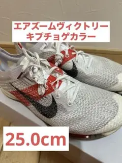Nike Air Zoom Victory EK