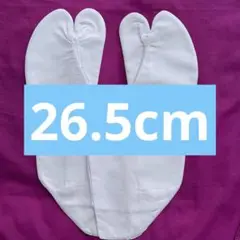 Item thumbnail for item 186e98df-2f81-461f-8b7e-316ae0dc1f84