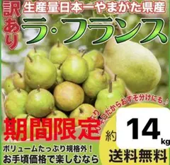 限定15箱!!!濃厚ラフランス!!!高級フルーツ店お墨付限定品取引実績No.1