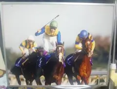 JRA　競馬　エアグルーヴ　非売品パネル　送料込み　激レア