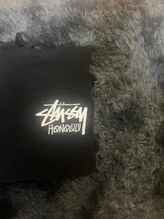 ⚠️値引き中⚠️希少‼️美品‼️Stussy ストゥーシー ホノルルロゴパーカー