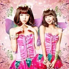 キッズ コスプレ 衣装 妖精 ドレス フェアリー 蝶 バタフライ 羽根 お花