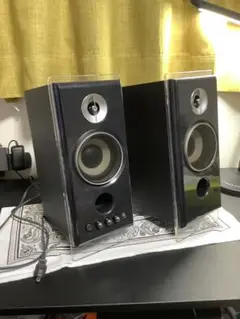SONY SRS-ZP1000D アクティブスピーカー 出力50W