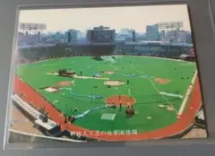 当時物 後楽園球場 人工芝　プロ野球カード付き 当時物 後楽園球場 人工芝 プロ野球カード付き - メルカリ