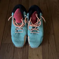 Item thumbnail for item 457ccf22-2c83-4b35-95c6-6f18a710864a