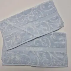 Item thumbnail for item 66b019ba-0c66-4ff2-a6b2-f0e1075f5d4f