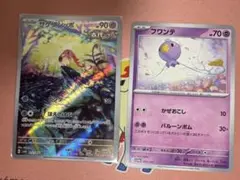 サケブシッポ ar フワンテセット