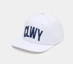 Item thumbnail for item 453828c6-186a-4b4f-a06a-515d51cba01c