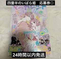 未読　四畳半のいばら姫　応募券あり　マーガレット 16号