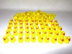 Item thumbnail for item 5b335d1a-90f3-4a1d-b49d-ffeb3afac962