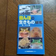 田んぼの生きもの図鑑　ー魚・カエル編ー
