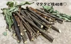 Item thumbnail for item 78308683-39e1-4791-b68f-a8b5d59b6297