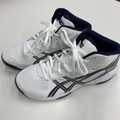 アシックス バスケットシュ-ズ 24.5㎝