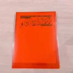 未開封新品 HOSHI×WOOZI WARNING CITYチケットポーチ 光州