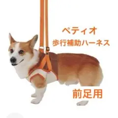 Item thumbnail for item 1d0dc814-f65b-4649-8495-48f0c948f05f