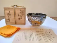 Item thumbnail for item a6b90911-7715-4da0-a5dd-6a913ecc7fe9