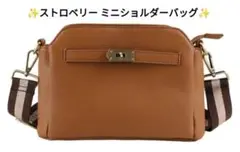 ✨️新品未使用 在庫処分品✨️ ストロベリー ミニショルダーバッグ