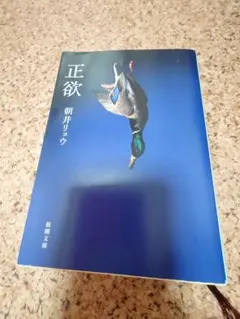 正欲