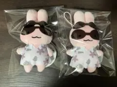 ホワイトタイガーとブラックタイガー　ハッピーサマータイムマスコット　うさぎ先生