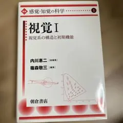 視覚 1