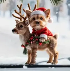 Item thumbnail for item 905b5003-3097-40e2-838c-9ae416a8349a