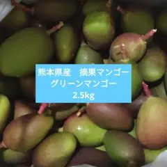 2025年最新】摘果マンゴー 2.5kgの人気アイテム - メルカリ
