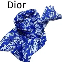DIOR×SHAWN Surf ロゴ サーファー ラグランスリーブ Dior Kim Jones Shawn Stussy 2020 Logo Surfboard Rare Limited