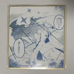 アカメが斬る ！　くじ　色紙　タツミ