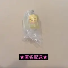 StrayKids SKZOO めじるしアクセサリー BbokAri ポガリ