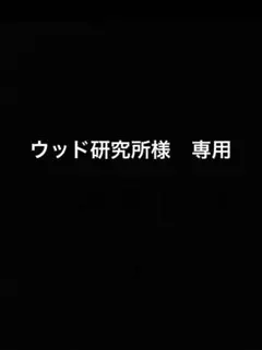 ぶちおSSK Probrain  軟式　外野用　投手用　２つ ぶちお様専用SSK Probrain 軟式 外野用 投手用 2つ グローブ