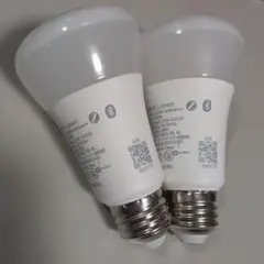 PHILIPS Hue white ambiance 1100 2個セット